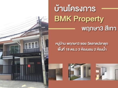บ้านโครงการ BMK Property พฤกษา3 สีเทา